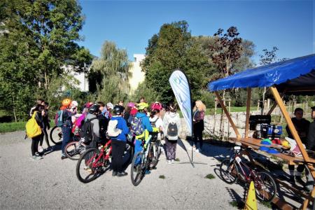 Pump track Borovnica 8